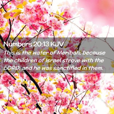 Picture 02 - Numbers 20:13 KJV - This is the water of Meribah; because the - Bible Verse Picture