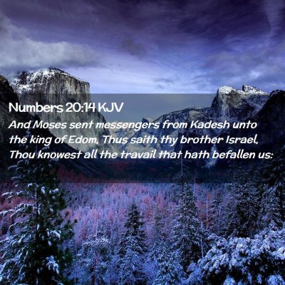 Picture 02 - Numbers 20:14 KJV - And Moses sent messengers from Kadesh unto the - Bible Verse Picture