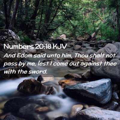 Picture 02 - Numbers 20:18 KJV - And Edom said unto him, Thou shalt not pass by - Bible Verse Picture