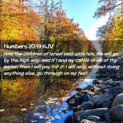 Picture 02 - Numbers 20:19 KJV - And the children of Israel said unto him, We will - Bible Verse Picture