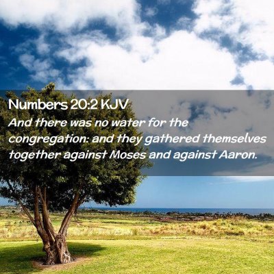 Picture 02 - Numbers 20:2 KJV - And there was no water for the congregation: and - Bible Verse Picture