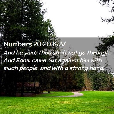 Picture 02 - Numbers 20:20 KJV - And he said, Thou shalt not go through. And Edom - Bible Verse Picture