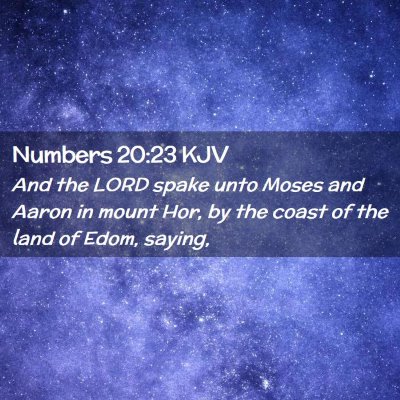 Picture 02 - Numbers 20:23 KJV - And the LORD spake unto Moses and Aaron in mount - Bible Verse Picture