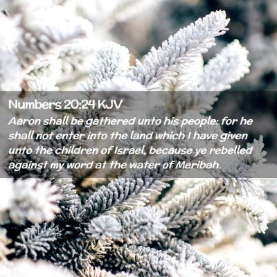 Picture 02 - Numbers 20:24 KJV - Aaron shall be gathered unto his people: for he - Bible Verse Picture