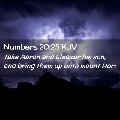 Picture 02 - Numbers 20:25 KJV - Take Aaron and Eleazar his son, and bring them up - Bible Verse Picture