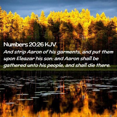 Picture 02 - Numbers 20:26 KJV - And strip Aaron of his garments, and put them - Bible Verse Picture