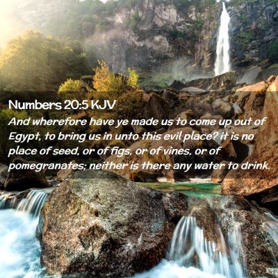 Picture 02 - Numbers 20:5 KJV - And wherefore have ye made us to come up out of - Bible Verse Picture