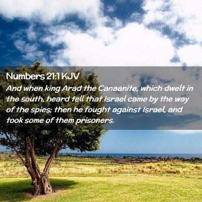 Picture 02 - Numbers 21:1 KJV - And when king Arad the Canaanite, which dwelt in - Bible Verse Picture