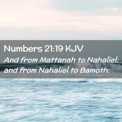 Picture 02 - Numbers 21:19 KJV - And from Mattanah to Nahaliel: and from Nahaliel - Bible Verse Picture