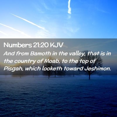 Picture 02 - Numbers 21:20 KJV - And from Bamoth in the valley, that is in the - Bible Verse Picture