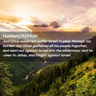 Picture 02 - Numbers 21:23 KJV - And Sihon would not suffer Israel to pass through - Bible Verse Picture