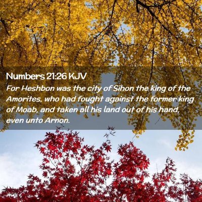Picture 02 - Numbers 21:26 KJV - For Heshbon was the city of Sihon the king of the - Bible Verse Picture