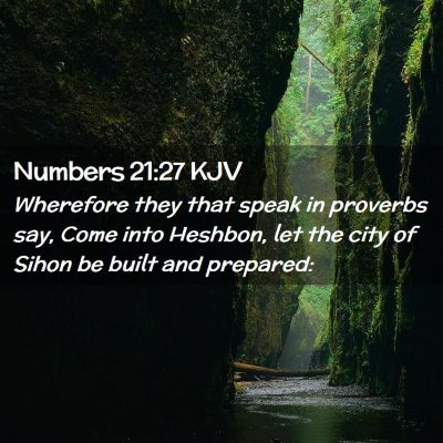 Picture 02 - Numbers 21:27 KJV - Wherefore they that speak in proverbs say, Come - Bible Verse Picture