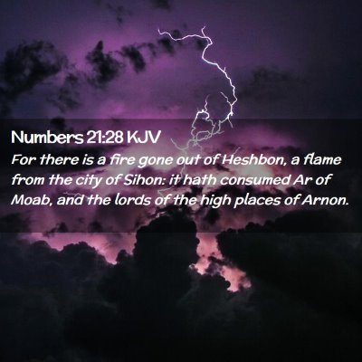 Picture 02 - Numbers 21:28 KJV - For there is a fire gone out of Heshbon, a flame - Bible Verse Picture
