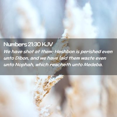 Picture 02 - Numbers 21:30 KJV - We have shot at them; Heshbon is perished even - Bible Verse Picture