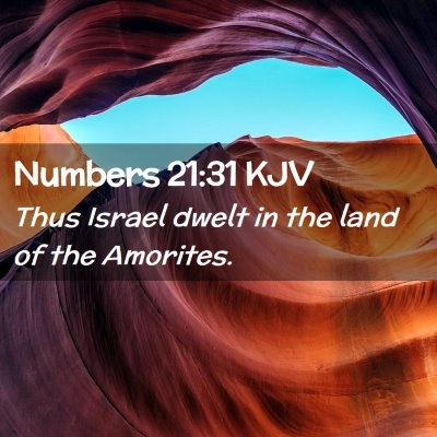 Picture 02 - Numbers 21:31 KJV - Thus Israel dwelt in the land of the - Bible Verse Picture