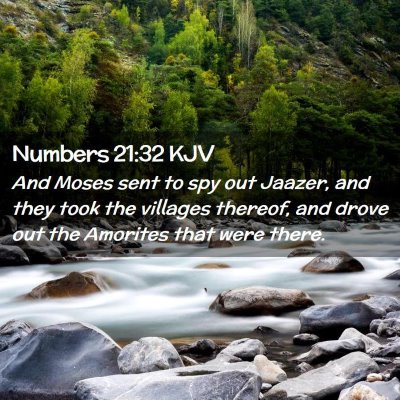 Picture 02 - Numbers 21:32 KJV - And Moses sent to spy out Jaazer, and they took - Bible Verse Picture