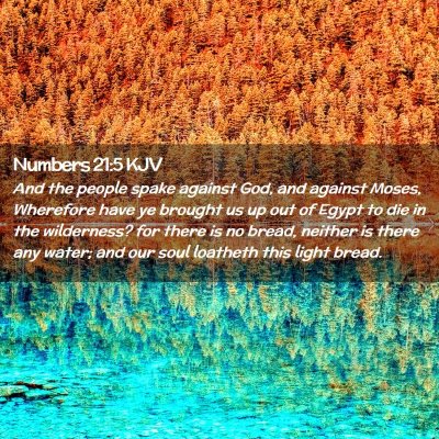 Picture 02 - Numbers 21:5 KJV - And the people spake against God, and against - Bible Verse Picture