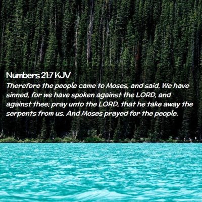 Picture 02 - Numbers 21:7 KJV - Therefore the people came to Moses, and said, We - Bible Verse Picture