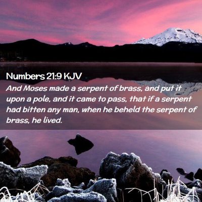 Picture 02 - Numbers 21:9 KJV - And Moses made a serpent of brass, and put it - Bible Verse Picture