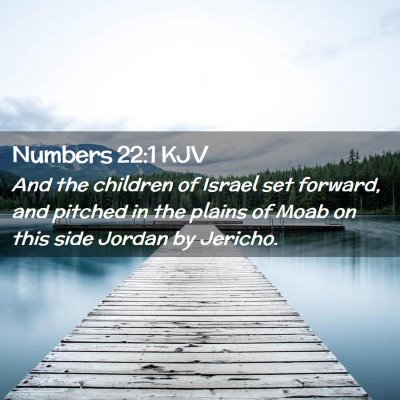 Picture 02 - Numbers 22:1 KJV - And the children of Israel set forward, and - Bible Verse Picture