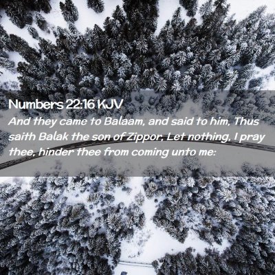 Picture 02 - Numbers 22:16 KJV - And they came to Balaam, and said to him, Thus - Bible Verse Picture