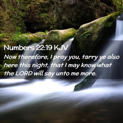 Picture 02 - Numbers 22:19 KJV - Now therefore, I pray you, tarry ye also here - Bible Verse Picture