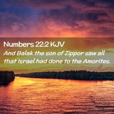 Picture 02 - Numbers 22:2 KJV - And Balak the son of Zippor saw all that Israel - Bible Verse Picture