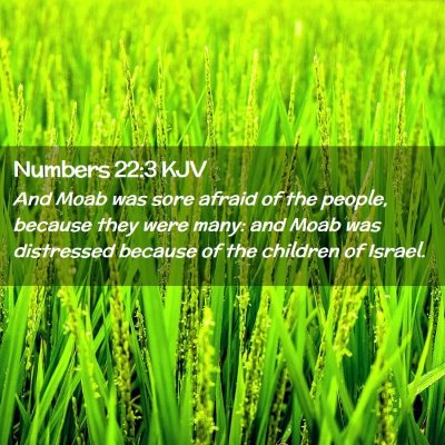 Picture 02 - Numbers 22:3 KJV - And Moab was sore afraid of the people, because - Bible Verse Picture