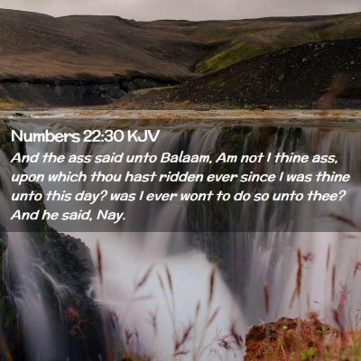 Picture 02 - Numbers 22:30 KJV - And the ass said unto Balaam, Am not I thine ass, - Bible Verse Picture