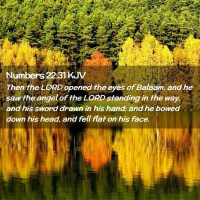 Picture 02 - Numbers 22:31 KJV - Then the LORD opened the eyes of Balaam, and he - Bible Verse Picture