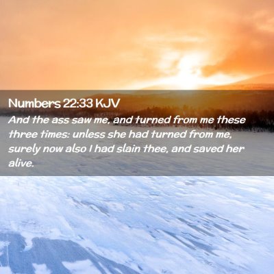 Picture 02 - Numbers 22:33 KJV - And the ass saw me, and turned from me these - Bible Verse Picture