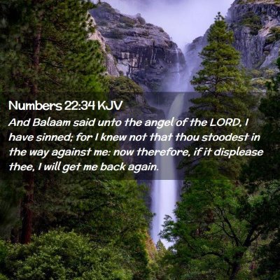 Picture 02 - Numbers 22:34 KJV - And Balaam said unto the angel of the LORD, I - Bible Verse Picture