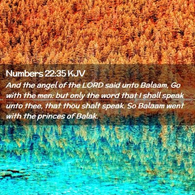 Picture 02 - Numbers 22:35 KJV - And the angel of the LORD said unto Balaam, Go - Bible Verse Picture