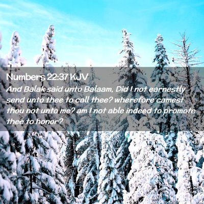 Picture 02 - Numbers 22:37 KJV - And Balak said unto Balaam, Did I not earnestly - Bible Verse Picture