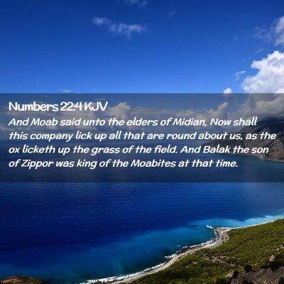 Picture 02 - Numbers 22:4 KJV - And Moab said unto the elders of Midian, Now - Bible Verse Picture