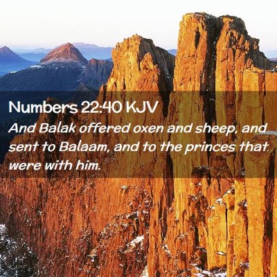 Picture 02 - Numbers 22:40 KJV - And Balak offered oxen and sheep, and sent to - Bible Verse Picture