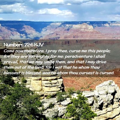 Picture 02 - Numbers 22:6 KJV - Come now therefore, I pray thee, curse me this - Bible Verse Picture