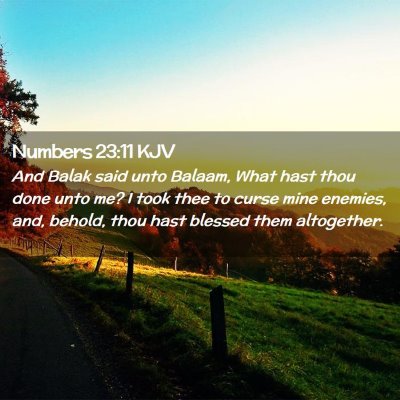 Picture 02 - Numbers 23:11 KJV - And Balak said unto Balaam, What hast thou done - Bible Verse Picture