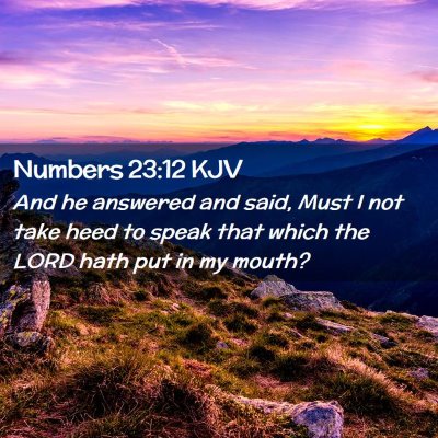 Picture 02 - Numbers 23:12 KJV - And he answered and said, Must I not take heed to - Bible Verse Picture