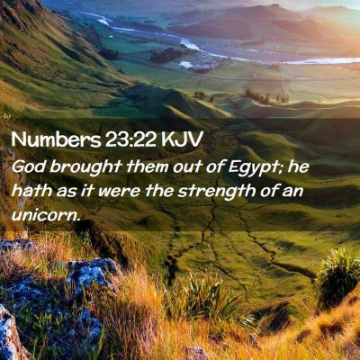 Picture 02 - Numbers 23:22 KJV - God brought them out of Egypt; he hath as it were - Bible Verse Picture