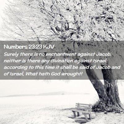 Picture 02 - Numbers 23:23 KJV - Surely there is no enchantment against Jacob, - Bible Verse Picture