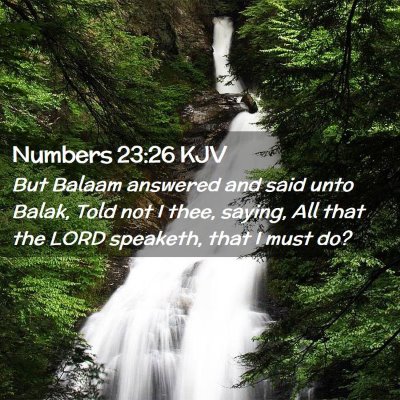 Picture 02 - Numbers 23:26 KJV - But Balaam answered and said unto Balak, Told not - Bible Verse Picture