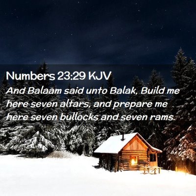 Picture 02 - Numbers 23:29 KJV - And Balaam said unto Balak, Build me here seven - Bible Verse Picture