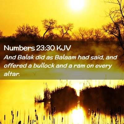 Picture 02 - Numbers 23:30 KJV - And Balak did as Balaam had said, and offered a - Bible Verse Picture