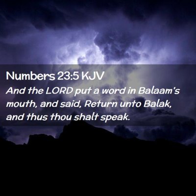 Picture 02 - Numbers 23:5 KJV - And the LORD put a word in Balaam's mouth, and - Bible Verse Picture