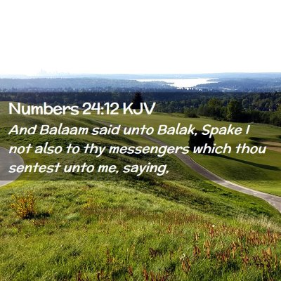 Picture 02 - Numbers 24:12 KJV - And Balaam said unto Balak, Spake I not also to - Bible Verse Picture