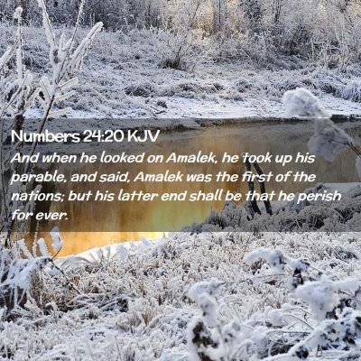 Picture 02 - Numbers 24:20 KJV - And when he looked on Amalek, he took up his - Bible Verse Picture