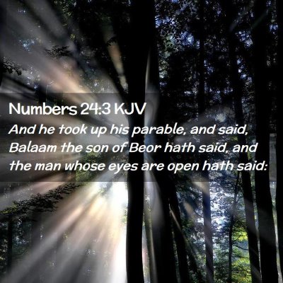 Picture 02 - Numbers 24:3 KJV - And he took up his parable, and said, Balaam the - Bible Verse Picture