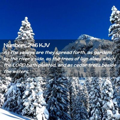 Picture 02 - Numbers 24:6 KJV - As the valleys are they spread forth, as gardens - Bible Verse Picture